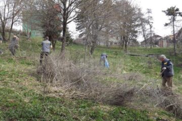 Angajații Selgros și elevii a trei școli din Suceava au făcut curat în parcul Șipote