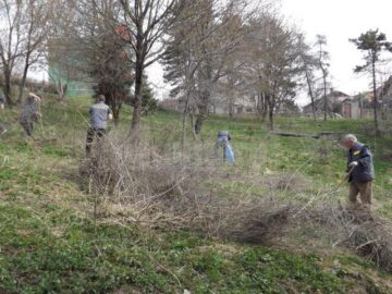 Angajații Selgros și elevii a trei școli din Suceava au făcut curat în parcul Șipote