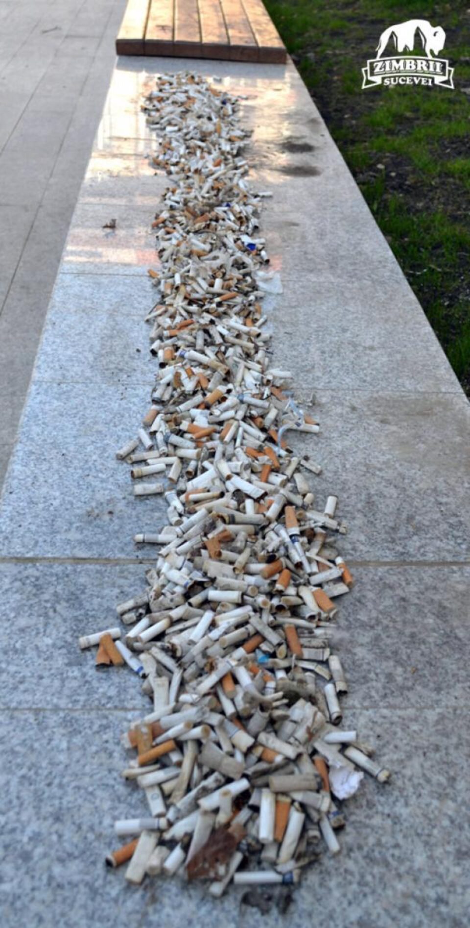 Mucurile de țigară adunate din parc