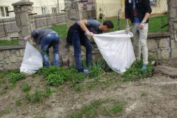 O săptămână dedicată Pământului, la Colegiul Tehnic „Alexandru I. Cuza”
