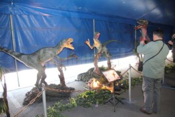 Dinozauri mișcători, în mărime naturală, expuși în parcarea Shopping City