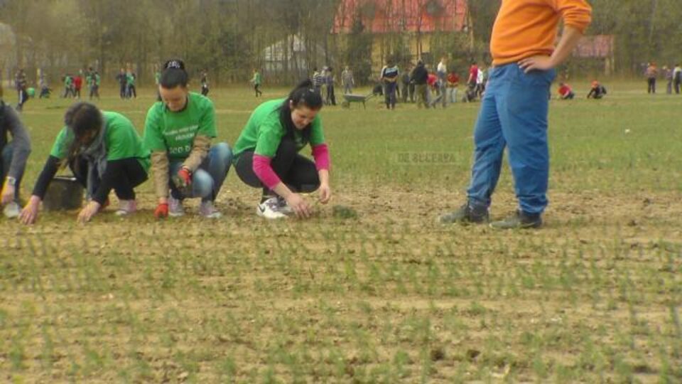 Elevii și polițiștii fălticeneni, parteneri în “Eco Desire”