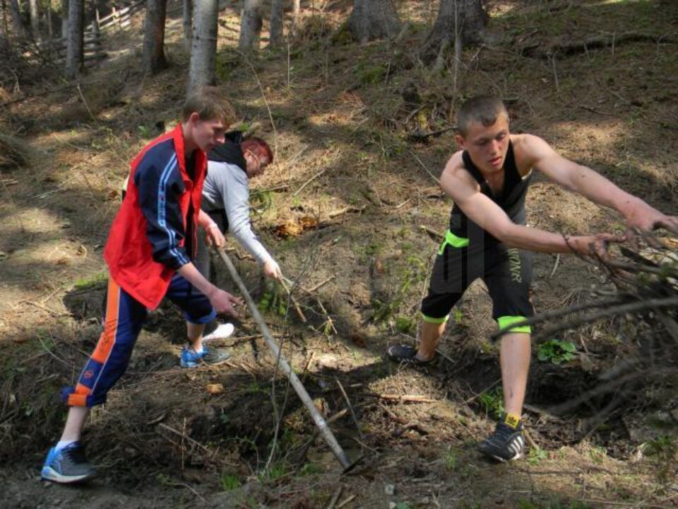 Peste 500 de puieți de arbori, plantați de elevi ai Școlii Profesionale Speciale din Câmpulung Moldovenesc