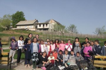 ecologizare