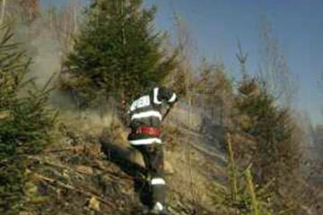 Incendiu extins la zece hectare de pădure în Vinerea Mare