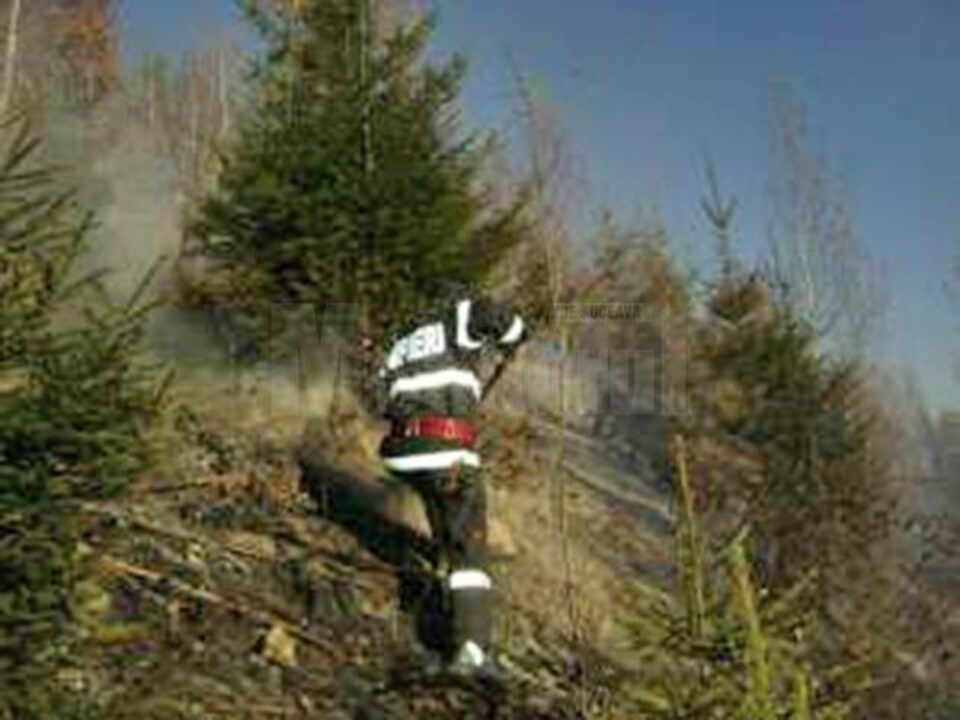 Incendiu extins la zece hectare de pădure în Vinerea Mare