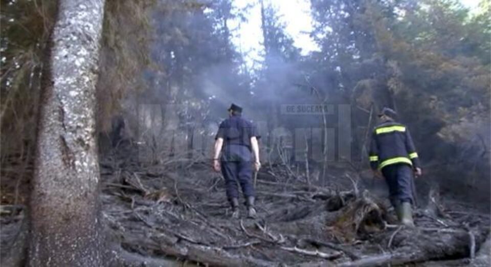 Peste cinci sute de pompieri au acționat pentru a ține sub control incendiul și a-l lichida, din punct de vedere al complexității intervenția fiind una dintre cele mai grele din ultimii ani