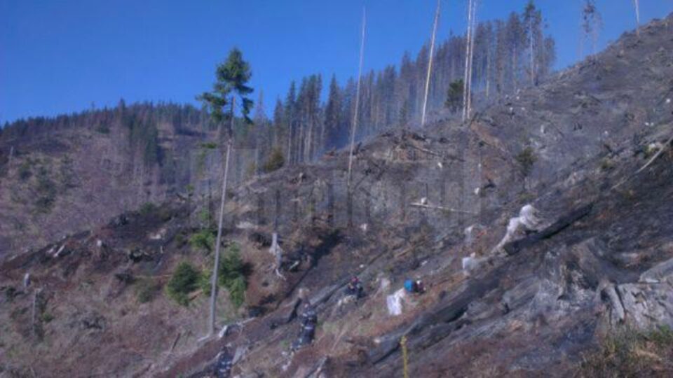Peste cinci sute de pompieri au acționat pentru a ține sub control incendiul și a-l lichida, din punct de vedere al complexității intervenția fiind una dintre cele mai grele din ultimii ani