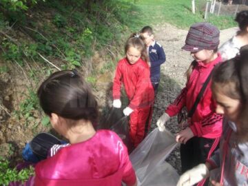 Acțiuni de ecologizare, organizate de elevii Liceului Tehnologic Cajvana