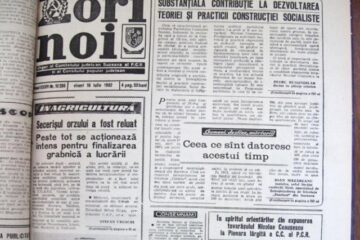 Recoltatul orzului este la loc de cinste în „Zori Noi