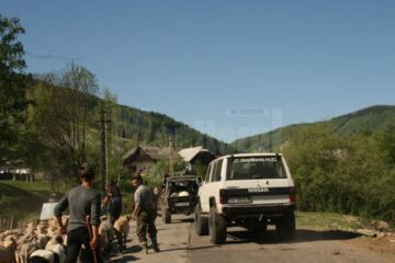 Oi și mașini de teren în drum spre stâna de pe munte