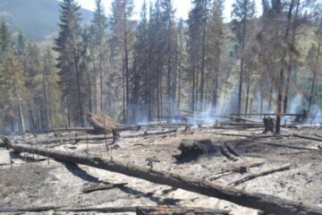 Incendiul de la Costileva-Ulma s-a propagat peste graniță, pe teritoriul Ucrainei
