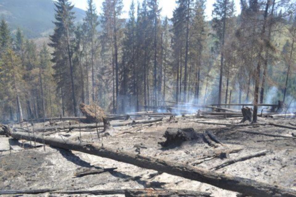 Incendiul de la Costileva-Ulma s-a propagat peste graniță, pe teritoriul Ucrainei
