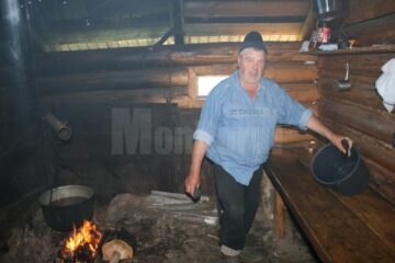 Gheorghe Parascan este șef de stână la Ostra