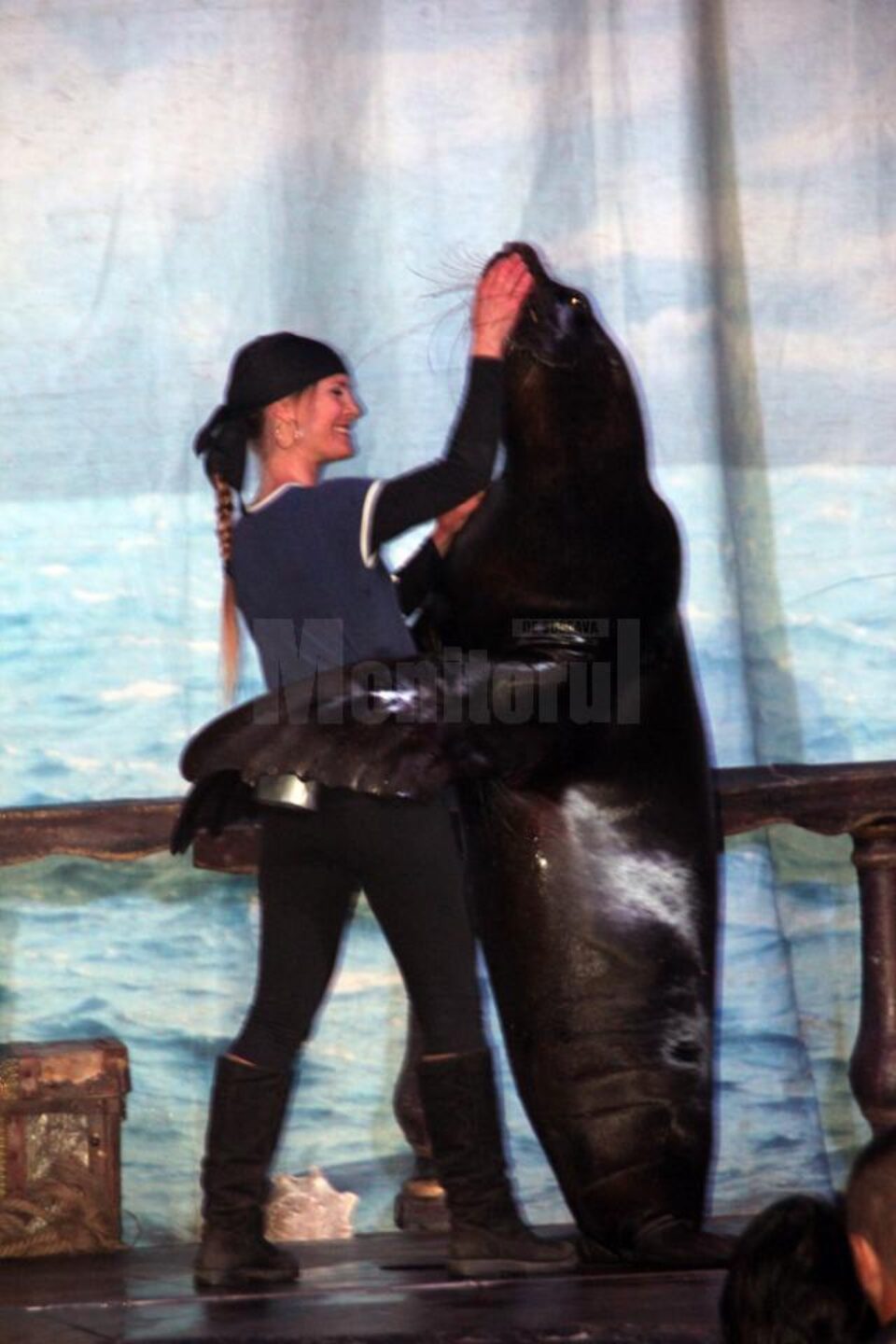 Leul de mare Leo, în pași de tango