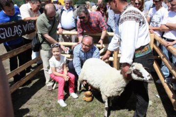 Băișanu a muls o oaie la Hora Bucovinei