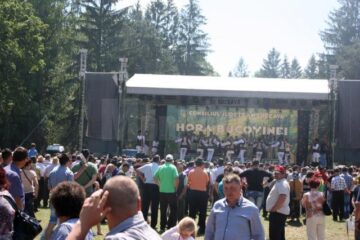Hora Bucovinei