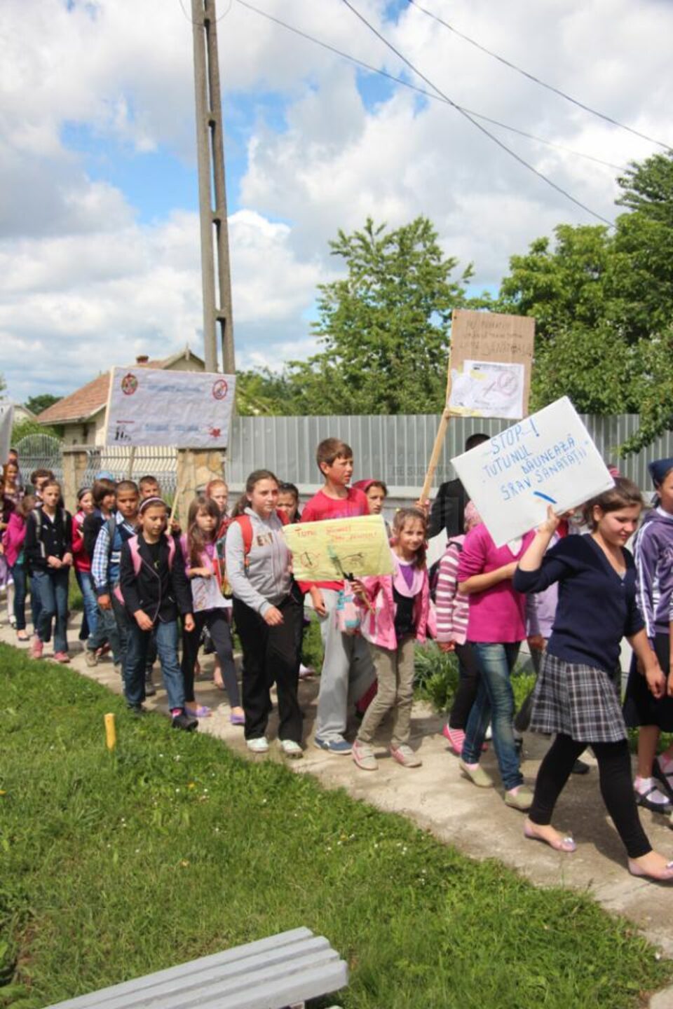 Acțiune civică organizată de elevi ai Școlii cu clasele I-VIII Plopeni