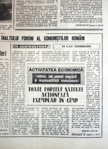 „La C.A.P. Dumbrăveni - Toate forțele satului acționează exemplar în câmp”