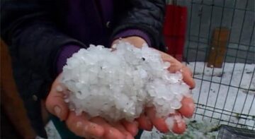 Ieri după-amiază, gheața cât oul de porumbel a făcut prăpăd la Cornu Luncii
