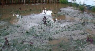 Ieri după-amiază, gheața cât oul de porumbel a făcut prăpăd la Cornu Luncii