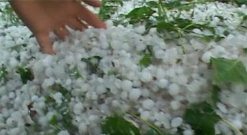 Ieri după-amiază, gheața cât oul de porumbel a făcut prăpăd la Cornu Luncii