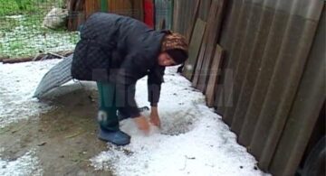Ieri după-amiază, gheața cât oul de porumbel a făcut prăpăd la Cornu Luncii