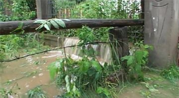 Ieri după-amiază, gheața cât oul de porumbel a făcut prăpăd la Cornu Luncii