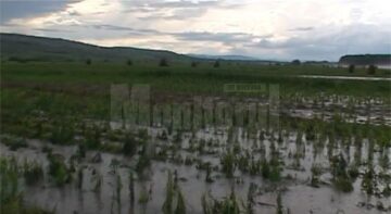 Ieri după-amiază, gheața cât oul de porumbel a făcut prăpăd la Cornu Luncii