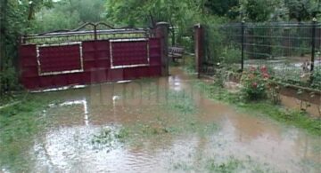 Ieri după-amiază, gheața cât oul de porumbel a făcut prăpăd la Cornu Luncii