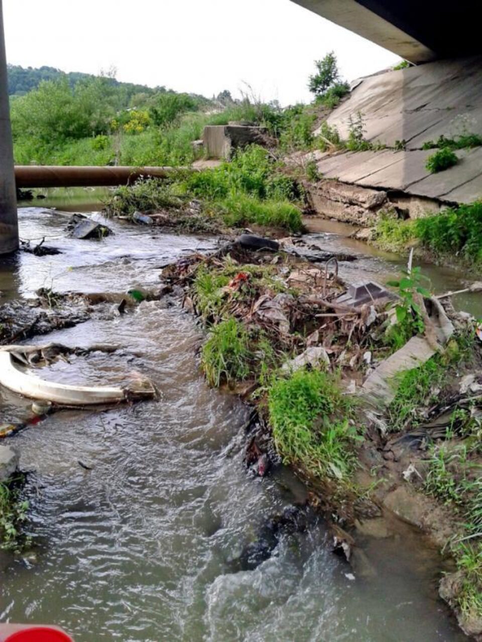 Școlii Gimnaziale „Dimitrie Păcurariu” Șcheia i-a fost acordat un premiu Internațional în ecologie