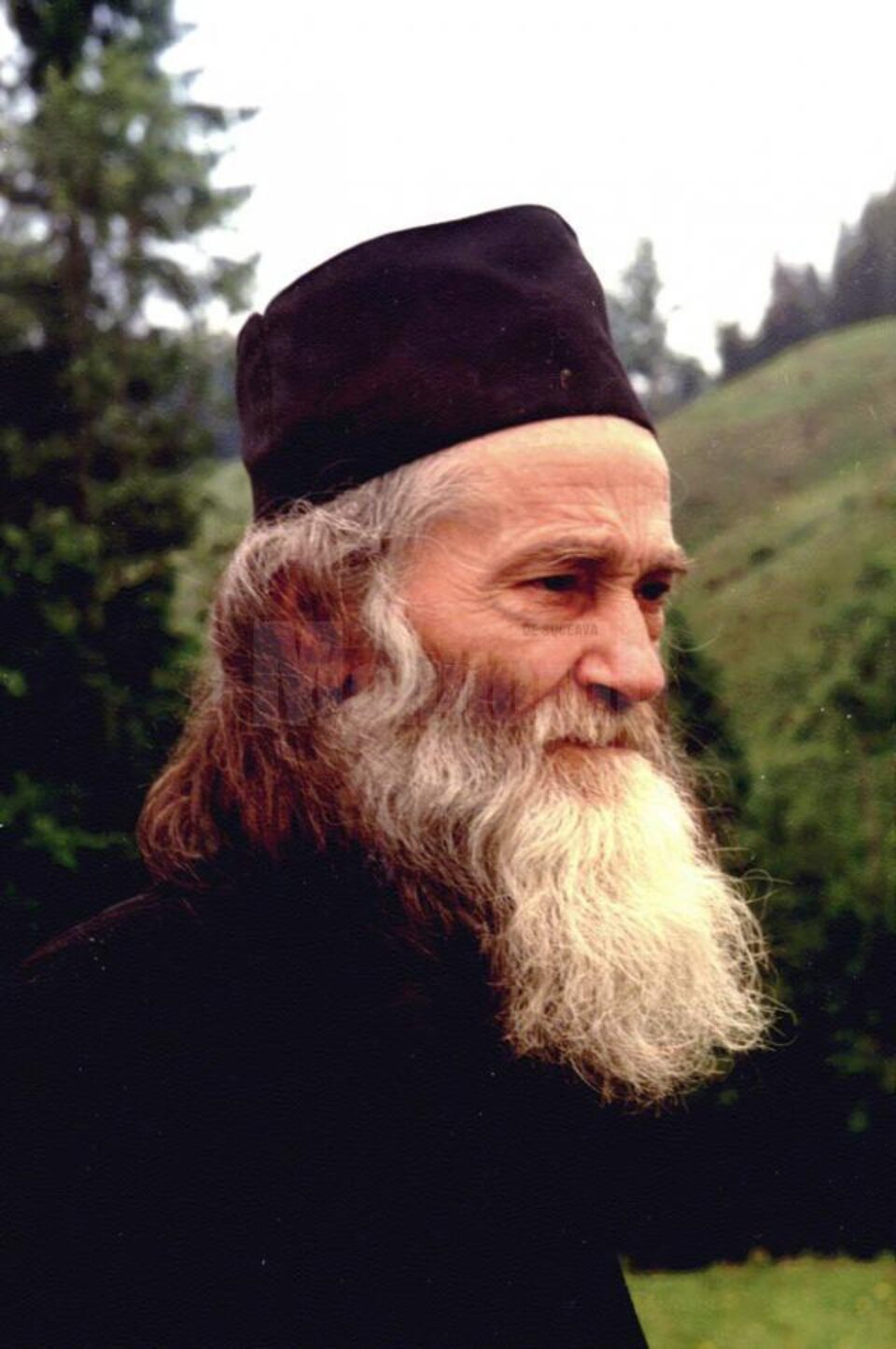 „Tradiția, dragul meu, este așezarea în matcă a unui neam“