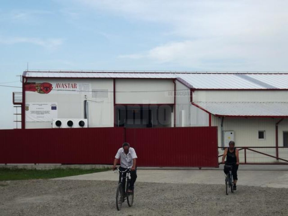 La abatorul Avastar, sanitar-veterinarii nu au găsit nereguli