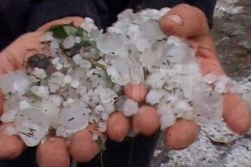 Grindina căzută, săptămâna trecută, în județul Suceava a afectat 3.168,34 de hectare de culturi agricole din zece localități