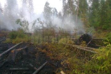 incendiu Poiana Stampei