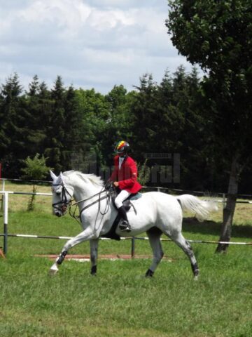 Curse cu obstacole, salturi uriașe și cai de rasă din toată țara, la Cupa Bucovinei 2013