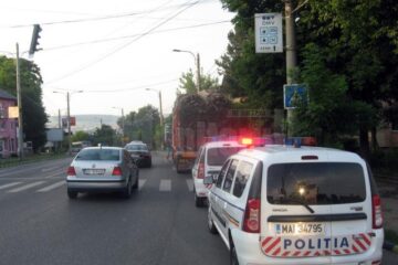 Șoferul a scăpat doar cu o amendă privind circulația pe drumurile publice