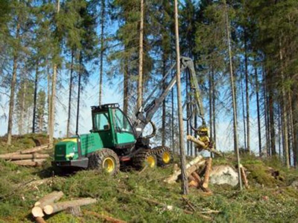 „Exploatări forestiere”