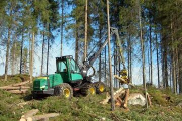 „Exploatări forestiere”