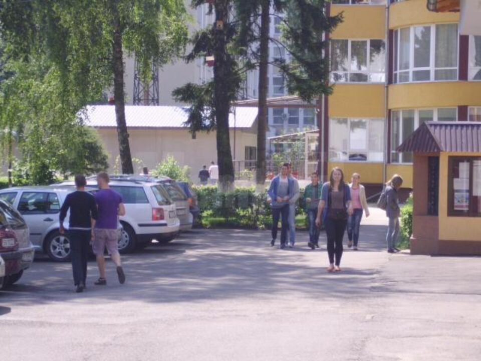 elevi care au susținut examenul de bacalaureat