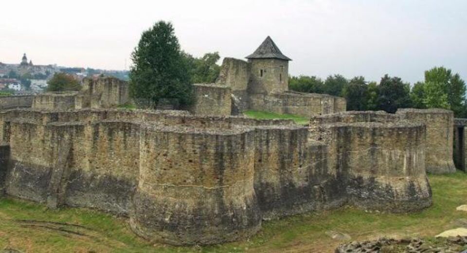 expoziție