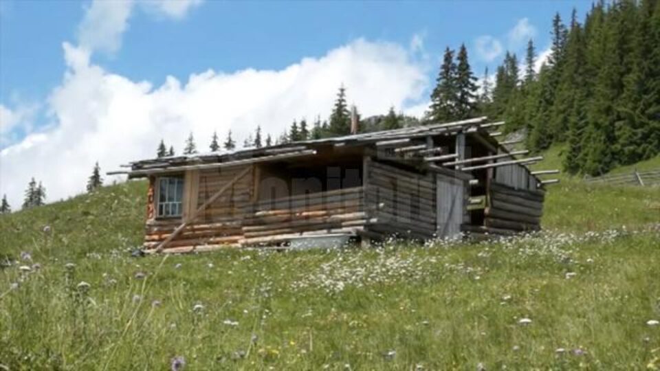 La Cârlibaba, Oliver Stan își construise o casă din lemn