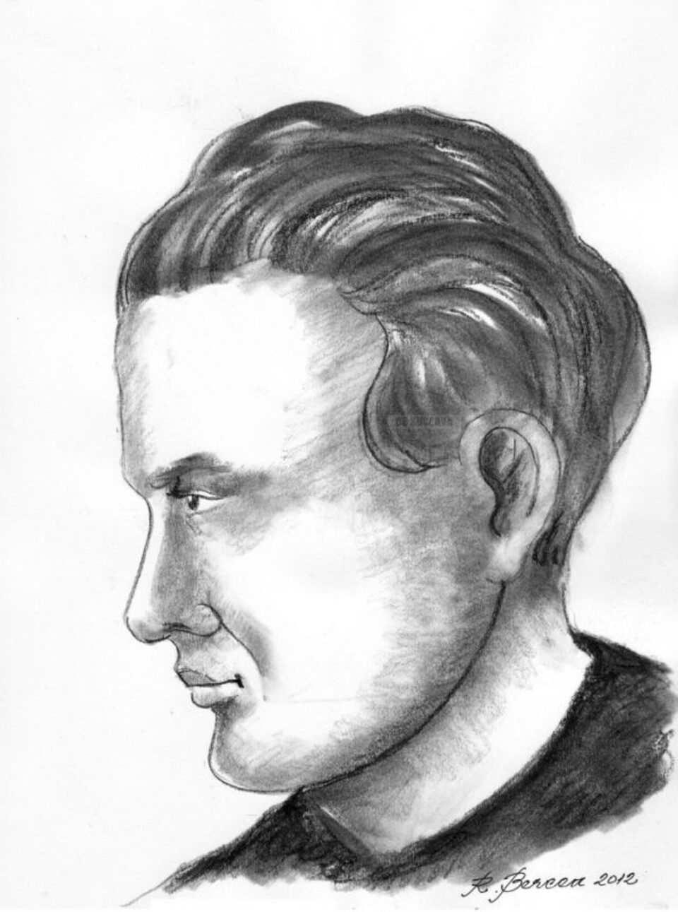 Mircea STREINUL