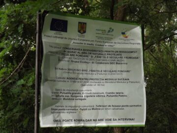Panou informativ asupra importantei rezervației, distrus cu bâtele