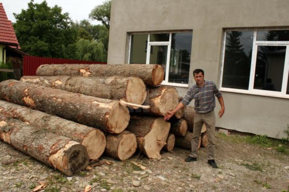 Lemnul, depozitat în spatele Primăriei Vicovu de Jos