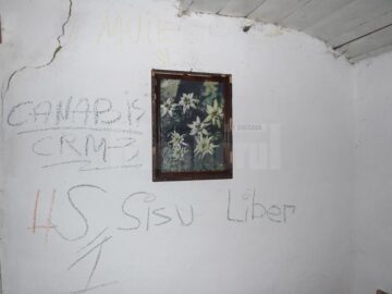 Mesaje obscene și fără noimă, lângă tablourile cu plante din laborator