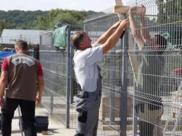 Voluntari din Germania, veniți să ofere condiții mai bune de viață câinilor din adăpostul Sucevei