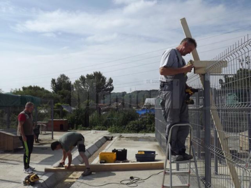 Voluntarii din Germania s-au apucat de făcut acoperișuri la noile țarcuri din lunca Sucevei Voluntarii din Germania s-au apucat de făcut acoperișuri la noile țarcuri din lunca Sucevei