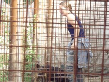 Nina Schõllhorn, medic veterinar venit sa facă muncă voluntară la adăpostul de câini