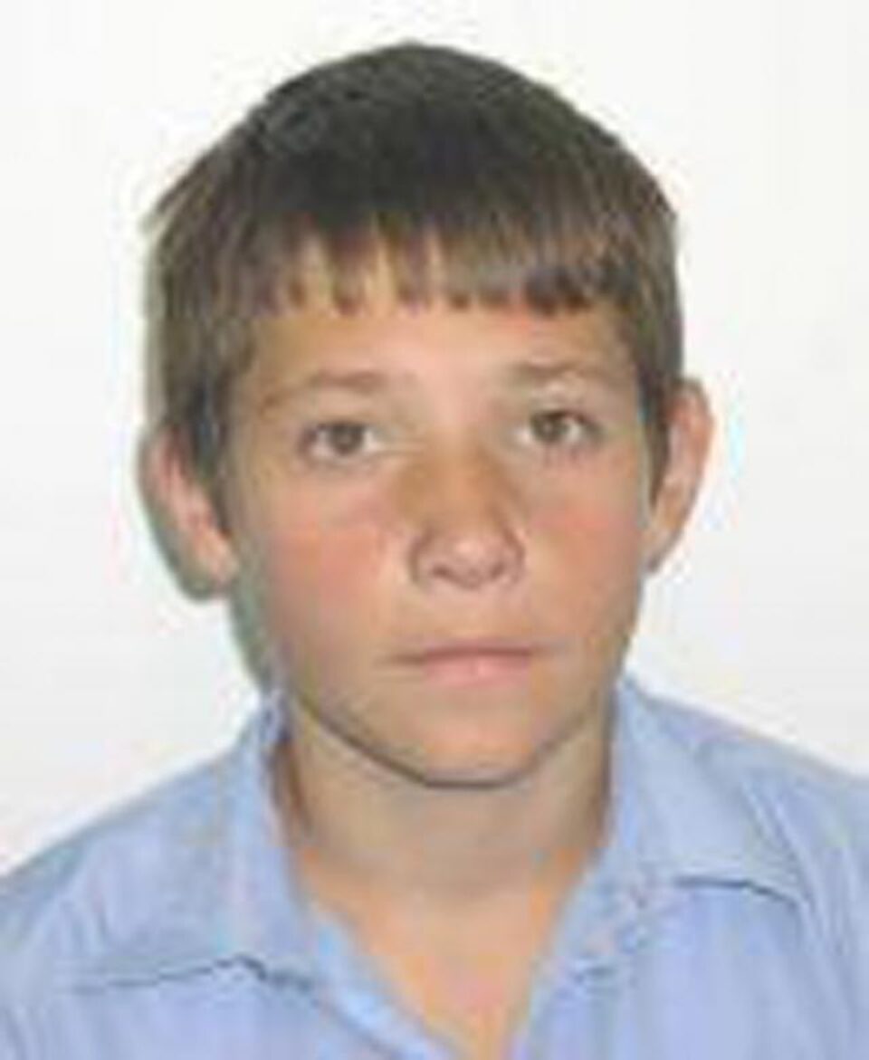 Alexandru Iulian Gușetoaia